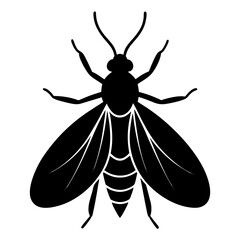 Insect Silhouette