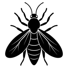 Insect Silhouette