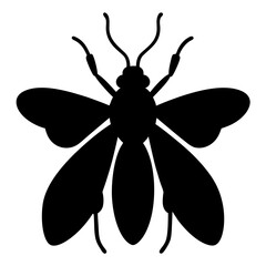 Insect Silhouette