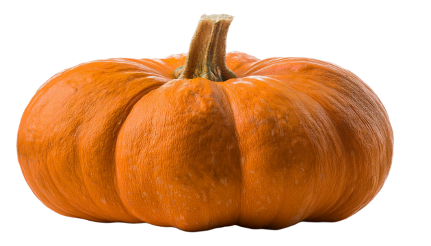 a vibrant pumpkin, perfect for autumn festivities. Its rich orange color and textured surface add to the festive vibe