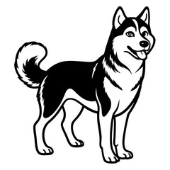 Fototapeta premium Siberian Husky Dog Silhouette: A stylish and strong Siberian Husky dog stands proudly, captured in a sleek black and white silhouette.