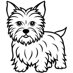 Adorable Puppy: A charming cartoon terrier puppy with expressive eyes, standing and waiting for a playtime moment, ideal for children's illustration and animal art, is full of vitality.