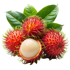 rambutan on white background
