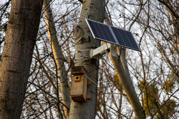 A bird nesting box hanging on a tree, equipped with a solar panel and a camera for bird watching during the spring nesting period—perfect for bird observation and ornithology.