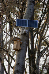 A bird nesting box hanging on a tree, equipped with a solar panel and a camera for bird watching during the spring nesting period—perfect for bird observation and ornithology.