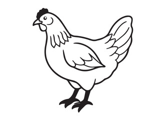 Obraz premium Hen vector illustration Design
