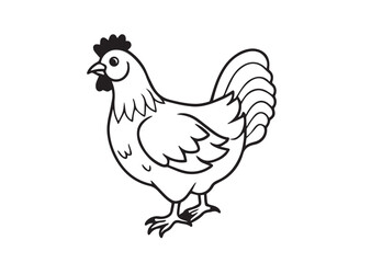 Fototapeta premium Hen vector illustration Design