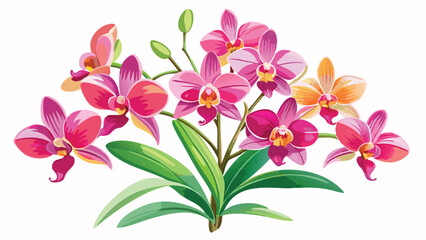 Orchid flower, pink, yellow and purple, white background wallpaper, vector file