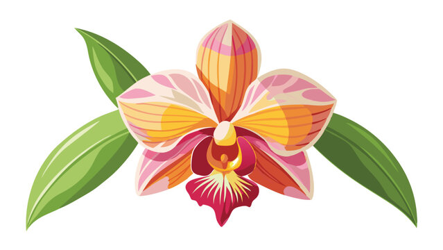 Orchid flower, pink, yellow and purple, white background wallpaper, vector file
