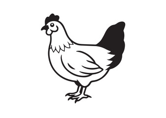 Fototapeta premium Hen vector illustration Design