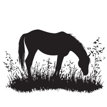 black horse grazing in grass clip art preview