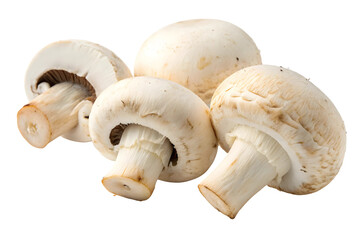 Fototapeta premium Natural Mushrooms with Stems and Caps for Healthy Eating and Cooking.
