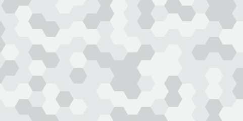 Abstract technology hexagonal background. Illustration of a white background with hexagonal template. White hexagon honeycombs background. Hexa gray Abstract Geometric Wide Banner Design.