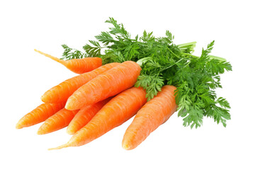 Fresh Organic Carrots