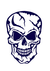 Fototapeta premium Tete de mort halloween crane dessin