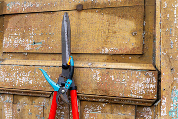 Garden tools hanging on old wooden door. garden shears and pruners on old wooden texture. shabby...