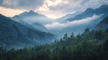 a forest and mountains with clouds and fog in the background 