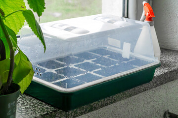 small home greenhouse for sowing seeds. sown seeds early spring in a mini greenhouse at home.