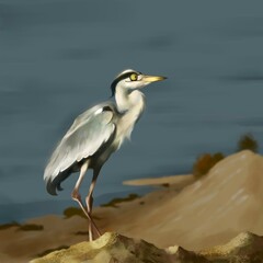 great blue heron on the lake