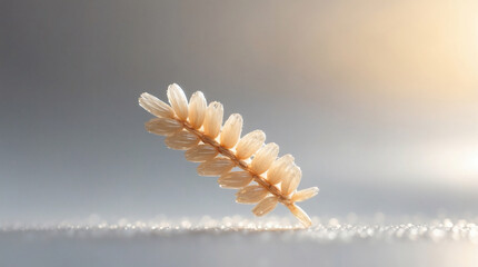 Delicate flower stem, soft light, and subtle texture create a serene image. Ideal for themes of tranquility and peaceful nature.