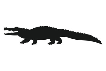 Crocodile silhoutte illustration art design with a white backraund