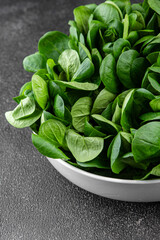 mung bean leaves salad green vegetables dish fresh delicious gourmet food background on table rustic food top view copy space keto and paleo diet vegetarian and vegan food