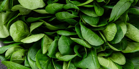 mung bean leaves salad green vegetables dish fresh delicious gourmet food background on table rustic food top view copy space keto and paleo diet vegetarian and vegan food