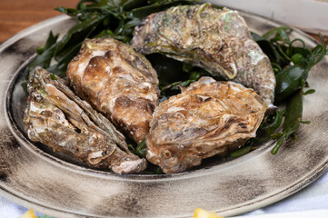 Plate with fresh live raw Fine de Claire Oleron oysters seashells served oyster-farming village,...