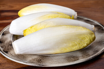 Fresh organic chicory endive salad ready to eat, traditional winter food in Belgium and the Netherlands
