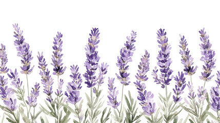 Obraz premium Lavender Field Beauty
