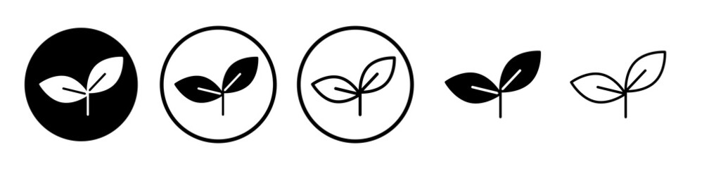 Basil icons symbol. Flat and line design style.