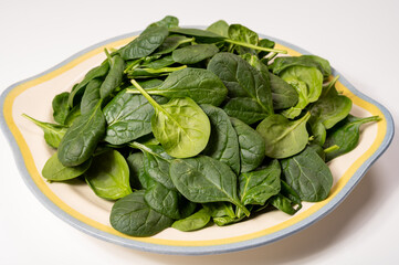 Fresh green baby Spinach leaves, diet and health concept, weight loss, washed spinach on ceramic plate
