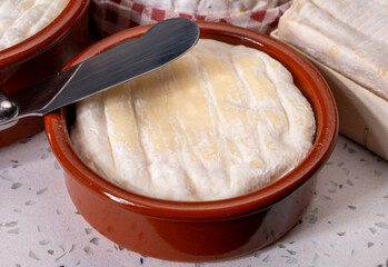 French dauphinois cheeses collection, Saint-Marcellin, Saint- Felicien cow's milk cheese with white mold from Rhône-Alpes region of France