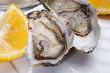 Plate with fresh live raw Fine de Claire Oleron oysters seashells served oyster-farming village,...