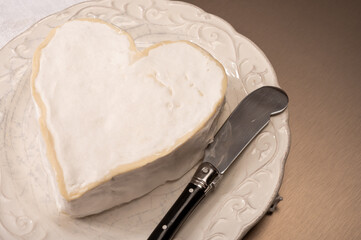 Cheese collection, French cheese from Normandy region, heart-shaped neufchatel from farm shop close up
