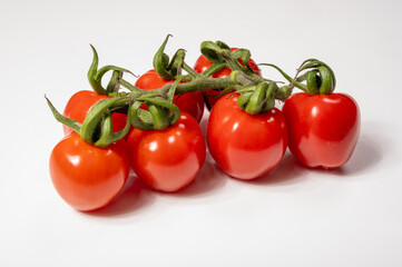ed sweet ripe tasty Dutch tomatoes growing indoor in greenhouse all seasons, food industry in Netherlands close up