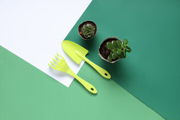 Gardening tools with rake and shovel on colorful background. Top view