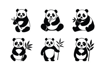Obraz premium set of panda eating bamboo vector silhouette