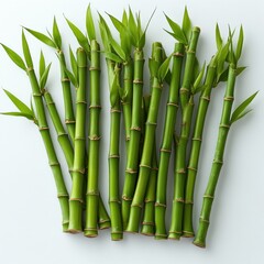 A Collection of Lush Green Bamboo Stalks