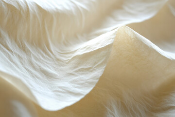 Close-up of wrinkled white fabric with soft lighting, showcasing intricate texture and gentle folds.