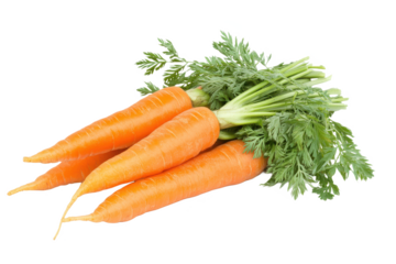 A bunch of fresh carrots with green leafy tops lying on a white surface in a studio setting