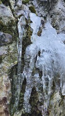 Icicles on a rock in the forest, Granvin, Norway