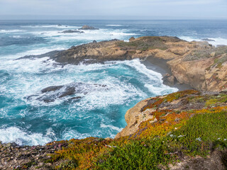 Scenic coastal landscape at Point Lobos State Natural Reserve, California