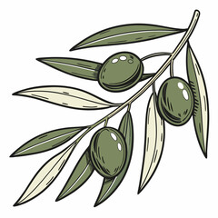 vector olive branch