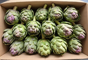 Obraz premium Freshly picked artichokes, their leafy petals arranged in neat bundles.