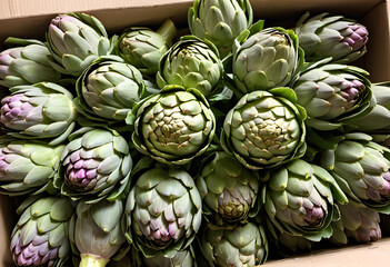 Fototapeta premium Freshly picked artichokes, their leafy petals arranged in neat bundles.