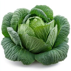 Obraz premium Fresh Green Cabbage: A Vibrant Vegetable