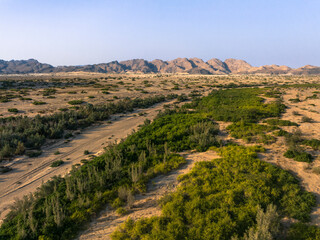 Aerial View of Dry Hoanib Riverbed against Mountains, Damaraland, Africa