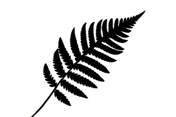  Realistic Shadow Overlay Effect – Natural Palm Leaf Shadows on Transparent Background