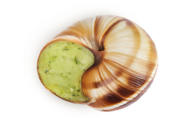 escargot snail filled with garlic and parsley butter isolated on white background. Top view. Flat lay